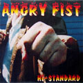 Hi-STANDARD / ANGRY FIST (レコード)