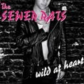 SEWER RATS / WILD AT HEART