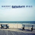 SENSES FAIL / センシズフェイル / FOLLOW YOUR BLESS -THE BEST OF SENSES FAIL (LIMITED EDITION 2CD SET)