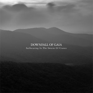DOWNFALL OF GAIA / SUFFOCATING IN THE SWARM OF CRANES