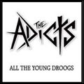 ADICTS / アディクツ / ALL THE YOUNG DROOGS