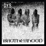 D.Y.S. / ディーワイエス / BROTHERHOOD (COLOR VINYL) 