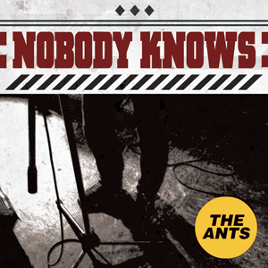 THE ANTS ジ アンツ / NOBODY KNOWS