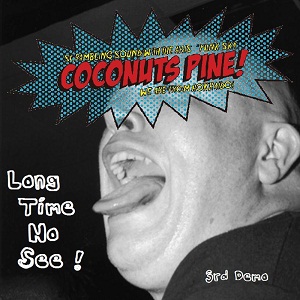 COCONUTS PINE ココナッツパイン / LONG TIME NO SEE! (CD-R)