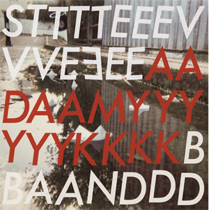 STEVE ADAMYK BAND / THIRD (レコード)