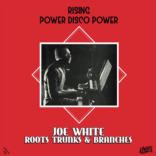 JOE WHITE / RISING POWER DISCO POWER