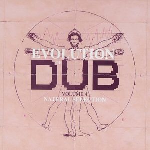 V.A.(EVOLUTION OF DUB) / EVOLUTION OF DUB VOL.4 (4CD BOX-SET)