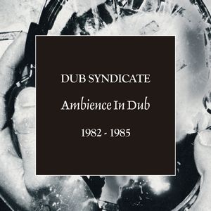 DUB SYNDICATE / AMBIENCE IN DUB 1982-1985 / アンビエンス・イン・ダブ 1982-1985