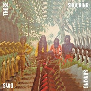 V.A. (PSYCHE) / THOSE SHOCKING, SHAKING DAYS: INDONESIAN HARD, PSYCHEDELIC, PROGRESSIVE ROCK AND FUNK: 1970-1978 (CD)