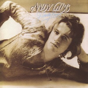 ANDY GIBB / アンディ・ギブ / FLOWING RIVERS / 恋のときめき