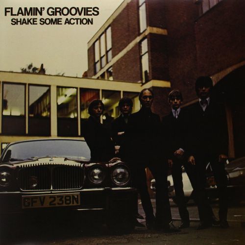 FLAMIN' GROOVIES / フレイミン・グルーヴィーズ / SHAKE SOME ACTION (180G LP)