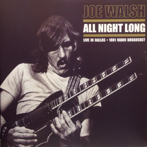 JOE WALSH / ジョー・ウォルシュ / ALL NIGHT LONG (140G 2LP)