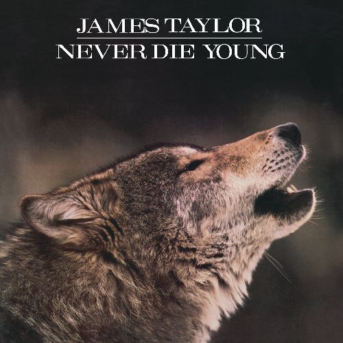 JAMES TAYLOR / ジェイムス・テイラー / NEVER DIE YOUNG