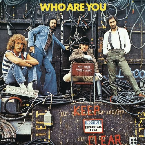 THE WHO / ザ・フー / WHO ARE YOU (180G LP)