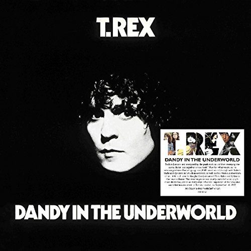 T. REX / T・レックス / DANDY IN THE UNDERWORLD (180G LP)
