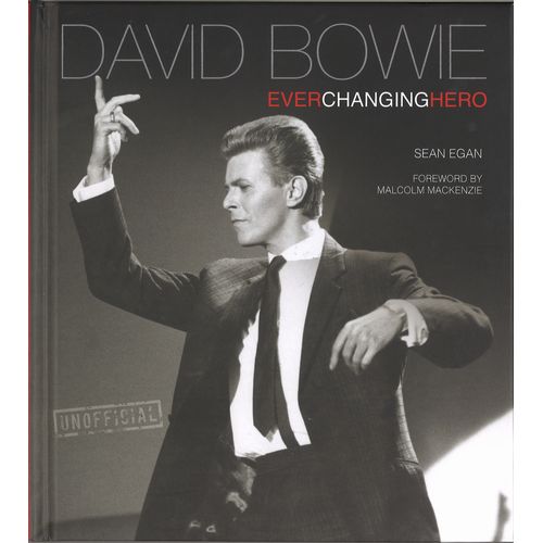 DAVID BOWIE / デヴィッド・ボウイ / EVER CHANGING HERO