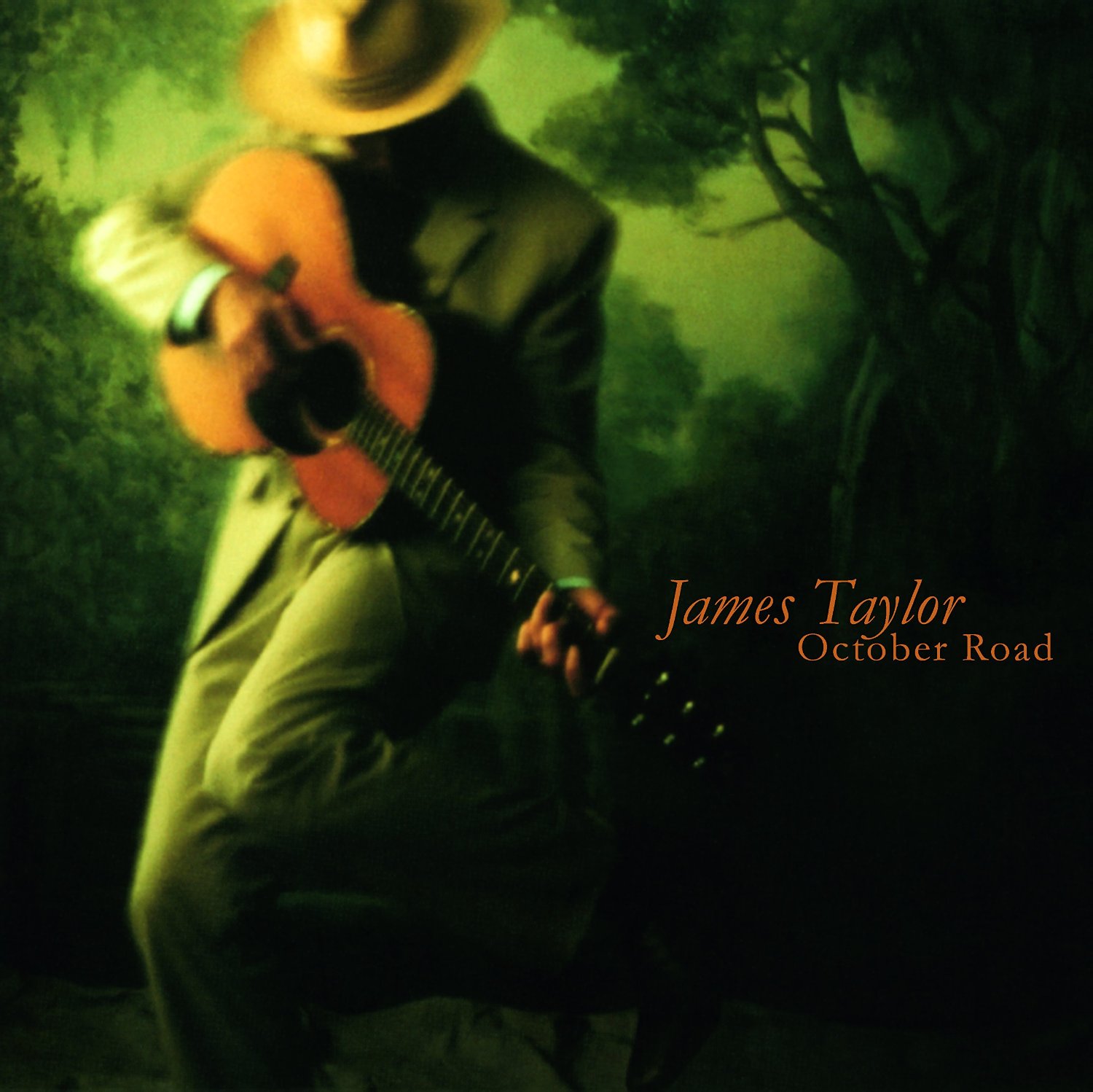 JAMES TAYLOR / ジェイムス・テイラー / OCTOBER ROAD (180G LP)