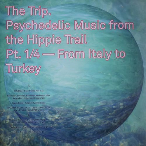V.A. (WORLD MUSIC) / V.A. (辺境) / THE TRIP. PSYCHEDELIC MUSIC FROM THE HIPPIE TRAIL PT. 1/4 - FROM ITALY TO TURKEY