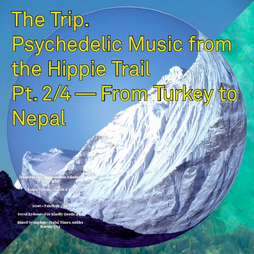V.A. (WORLD MUSIC) / V.A. (辺境) / THE TRIP. PSYCHEDELIC MUSIC FROM THE HIPPIE TRAIL PT. 2/4 - FROM TURKEY TO NEPAL