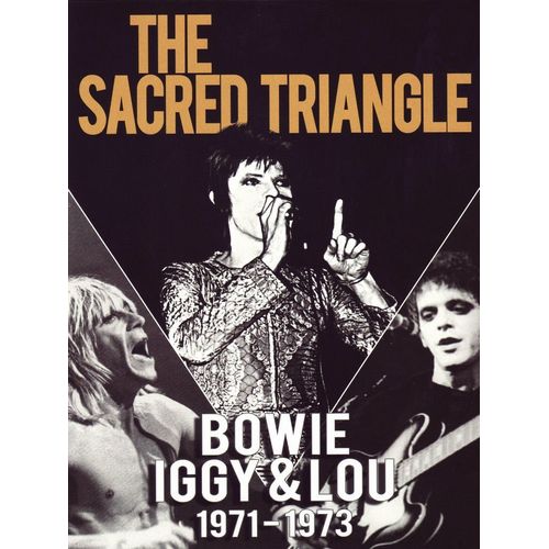 V.A. / オムニバス / THE SACRED TRIANGLE - BOWIE, IGGY & LOU 1971 - 1973