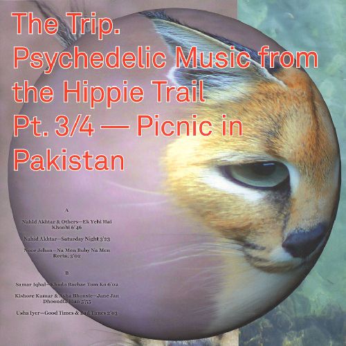 V.A. (WORLD MUSIC) / V.A. (辺境) / THE TRIP. PSYCHEDELIC MUSIC FROM THE HIPPIE TRAIL PT. 3/4 - PICNIC IN PAKISTAN