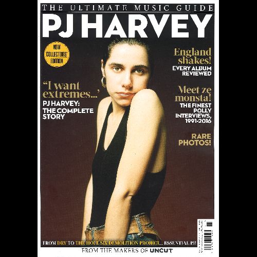 PJ HARVEY / PJ ハーヴェイ / THE ULTIMATE MUSIC GUIDE - PJ HARVEY (FROM THE MAKERS OF UNCUT)