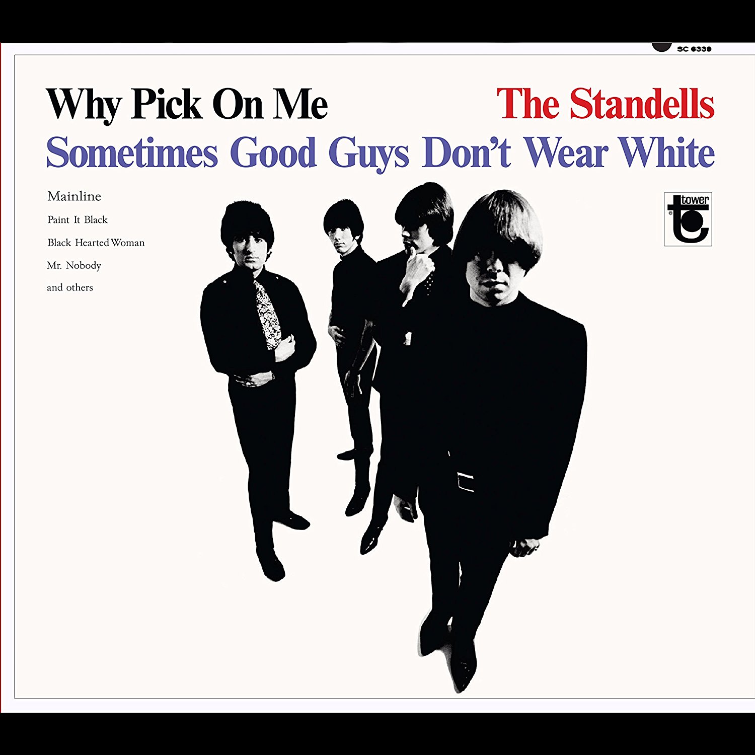 STANDELLS / スタンデルズ / WHY PICK ON ME (CD)