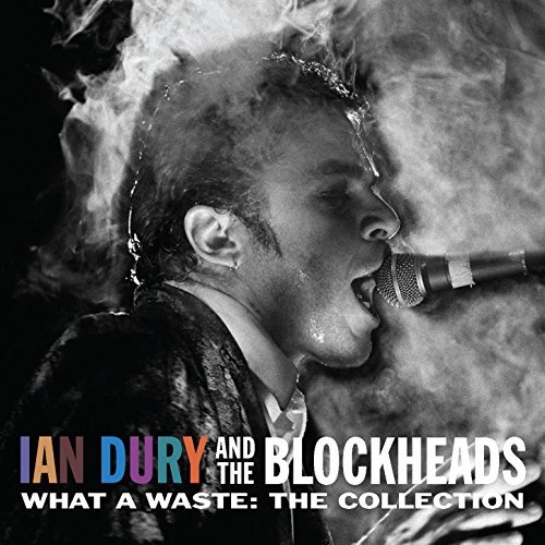 IAN DURY & THE BLOCKHEADS / イアン・デューリー&ザ・ブロックヘッズ / WHAT A WASTE (2CD)