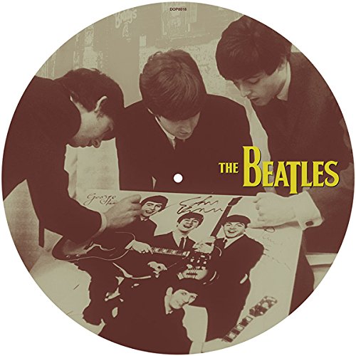BEATLES / ビートルズ / THIRTY WEEKS IN 1963 (PICTURE DISC LP)