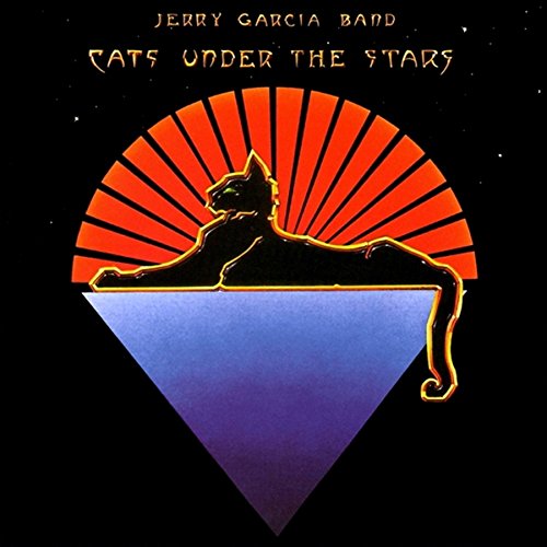 JERRY GARCIA / ジェリー・ガルシア / REFLECTIONS (LP)