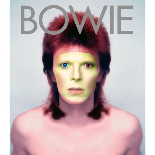 DAVID BOWIE / デヴィッド・ボウイ / BOWIE ALBUM BY ALBUM (PAOLO HEWITT)