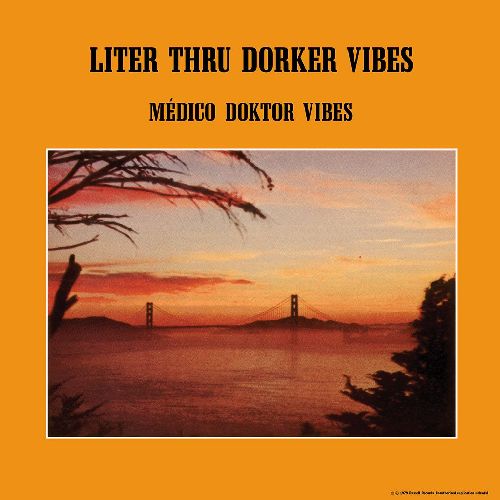 MEDICO DOKTOR VIBES / LITER THRU DORKER VIBES (CD)