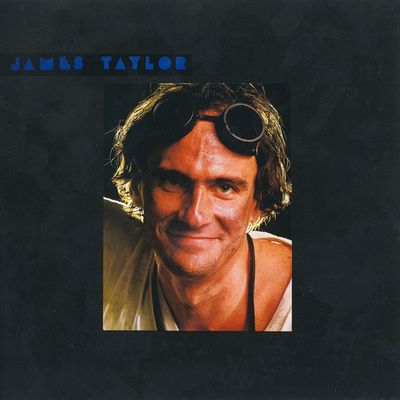 JAMES TAYLOR / ジェイムス・テイラー / DAD LOVES HIS WORK / ダディーズ・スマイル