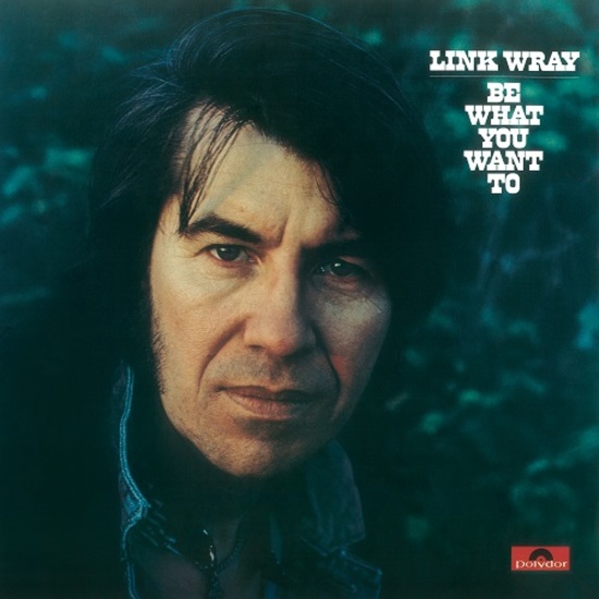 LINK WRAY / リンク・レイ / BE WHAT YOU WANT TO [LP]