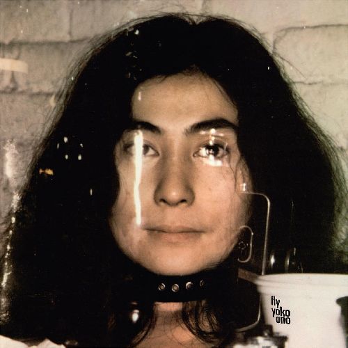 YOKO ONO / ヨーコ・オノ / FLY (2CD)