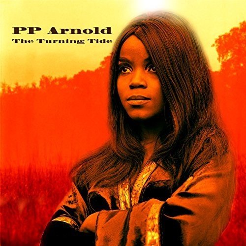P.P. ARNOLD / P・P・アーノルド / THE TURNING TIDE (CD)
