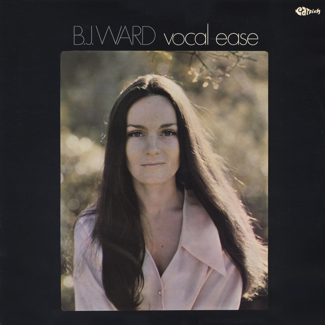 B.J. WARD / B.J. ウォード / B.J.ウォードの世界 (LP)