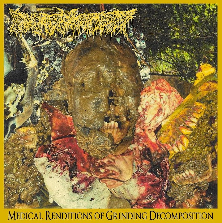 PHARMACIST  / MEDICAL RENDITIONS OF GRINDING DECOMPOSITION