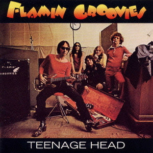 FLAMIN' GROOVIES / フレイミン・グルーヴィーズ / TEENAGE HEAD / ティーンエイジ・ヘッド