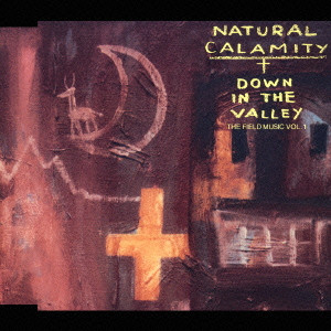 ナチュラル・カラミティ / DOWN IN THE VALLEY - THE FIELD MUSIC VOL.1 / ダウン イン ザ ヴァレイ