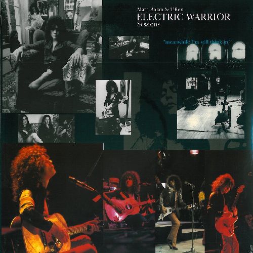 T. REX / T・レックス / THE ELECTRIC WARRIOR SESSIONS (LP)