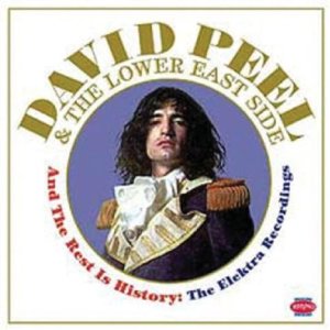 DAVID PEEL & LOWER EAST SIDE / デヴィッド・ピール&ロウアー・イースト・サイド / REST IS HISTORY
