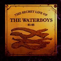 WATERBOYS / ウォーターボーイズ / SECRET LIFE OF 81-85