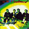 MR.T.EXPERIENCE (MTX) / ミスター・ティー・エクスペリエンス / NIGHT SHIFT AT THE THRILL FACTORY