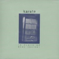 KARATE / カラテ / IN PLACE OF REAL INSIGHT