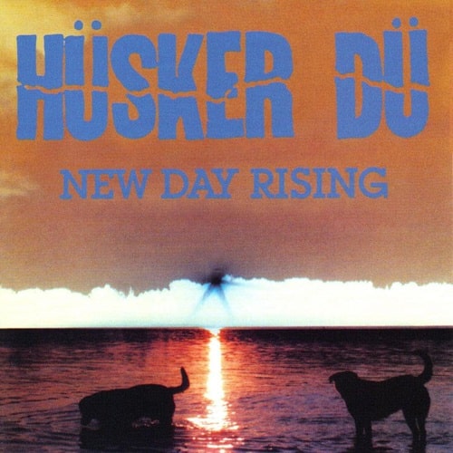 HUSKER DU / ハスカーデュー / NEW DAY RISING (LP) 