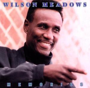 WILSON MEADOWS / ウィルソン・メドウズ / MEMORIES