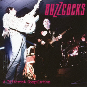 BUZZCOCKS / バズコックス / A DIFFERENT COMPILATION (国内盤)