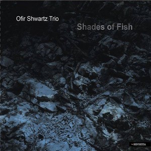 OFIR SHWARTZ / オフィール・シュワルツ / Shades Of Fish / シェーズ・オブ・フィッシュ