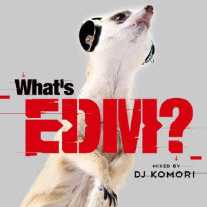 DJ KOMORI / What’s EDM? MIXED BY DJ KOMORI